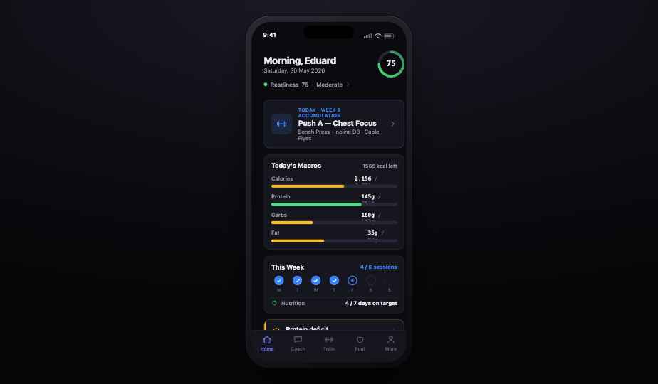 Macros tracking and training overview